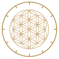 flor de la vida icono de limpieza energetica de espacios y personas